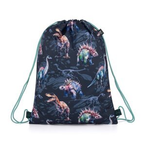 Sportovní vak (gymsack) Topgal RAMY 25026