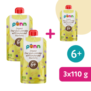 2+1 ZDARMA: SALVEST Põnn BIO Banán s borůvkou a obilnými vločkami (110 g)