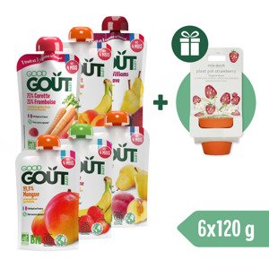 Good Gout BIO kapsičkový 6pack + Little Dutch Jahůdková zahrádka ZDARMA