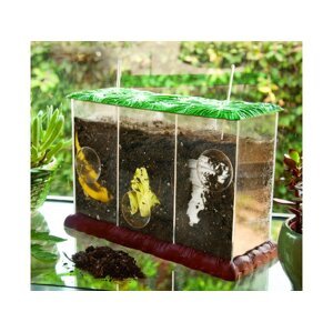 Learning Resources Learning Resources Pozorovací kompostér