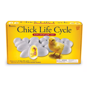 Learning Resources Learning Resources Životní cyklus kuřete