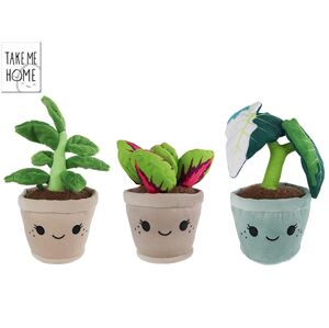 Mikro Take Me Home rostliny pokojové plyšové 16-24cm 3druhy