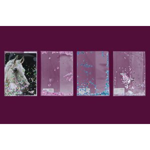 Obal na sešit A4 glitter