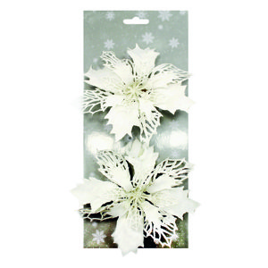 Poinsettie bílá 14 cm, 2 ks na klipu
