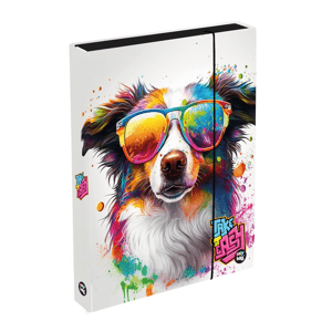 Box na sešity A4 Jumbo PES