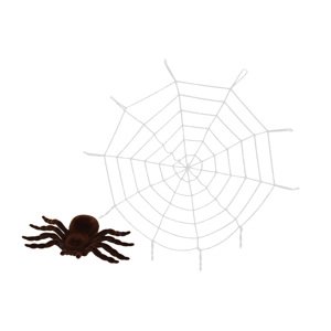 Pavučina s pavoukem